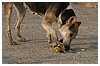 IMG_8624.JPG