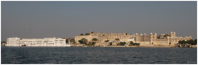 IMG_8445.JPG