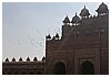 IMG_7116.JPG