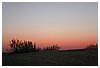 IMG_8100.JPG