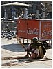 IMG_7342.JPG
