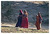 IMG_7882.JPG