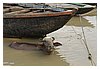 IMG_8139.JPG