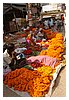 IMG_8456.JPG