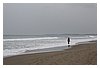 IMG_7469.JPG