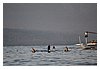 IMG_6552.JPG