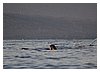 IMG_6553.JPG