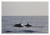 IMG_6562.JPG