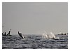 IMG_6593.JPG