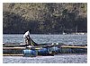 IMG_6704.JPG