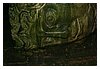 29IMG_3506.JPG