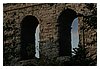 35IMG_3779.JPG