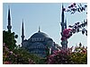 37P1010156.JPG