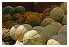 10IMG_3681.JPG