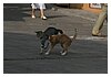 12IMG_3743.JPG