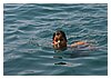 45IMG_3691.JPG