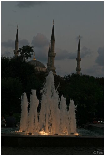 50IMG_3785.JPG