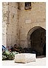 IMG_5010.JPG