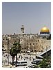 IMG_5015.JPG