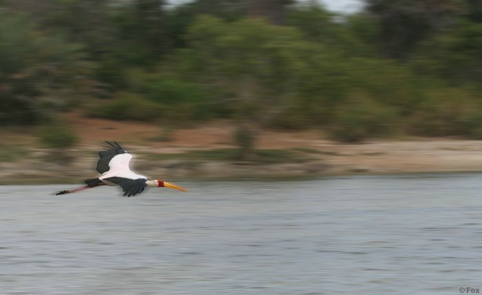 IMG_7135.jpg