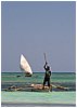 IMG_6010.jpg