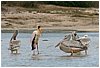 IMG_7137.JPG