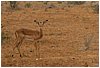 IMG_7265.JPG
