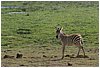 IMG_7346.JPG