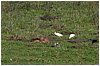 IMG_7365.JPG