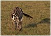 IMG_7438.JPG