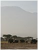 IMG_7447.JPG