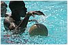 IMG_7680.JPG
