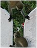 IMG_8092.JPG
