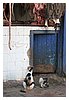 IMG_2182.JPG