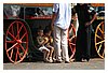IMG_2335.JPG