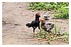 24_IMG_9602.jpg