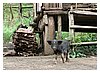 26_IMG_9634.JPG