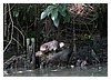 68_IMG_9916.JPG