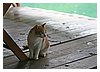 31_IMG_0338.JPG