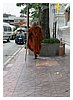 38_IMG_9850.JPG