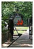 IMG_9365.JPG