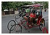 IMG_9425.JPG
