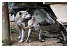 IMG_9577.JPG