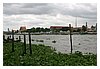 IMG_9860.JPG