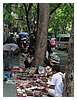 IMG_9866.JPG