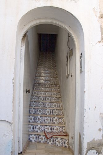 IMG_3786.jpg