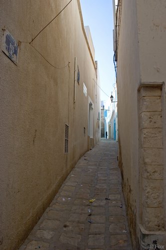 IMG_3793.jpg