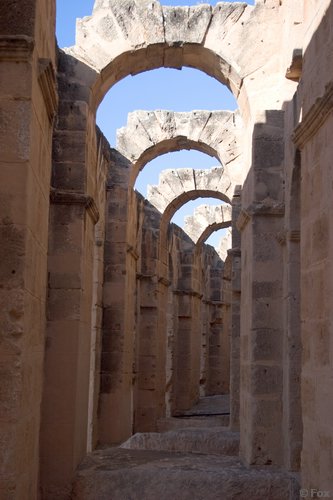 IMG_3849.jpg