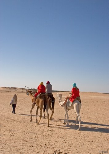 IMG_3911.jpg