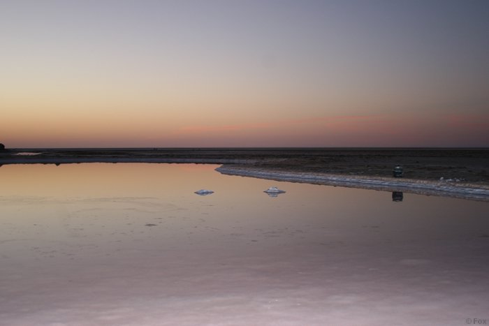 IMG_3986.JPG